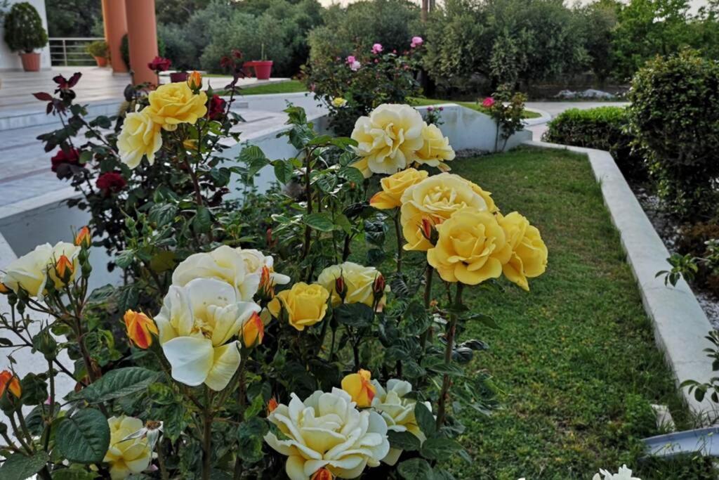 Fiore Di Rodi - Private Pool, Jacuzzi And Barbecue Ялиссос Экстерьер фото